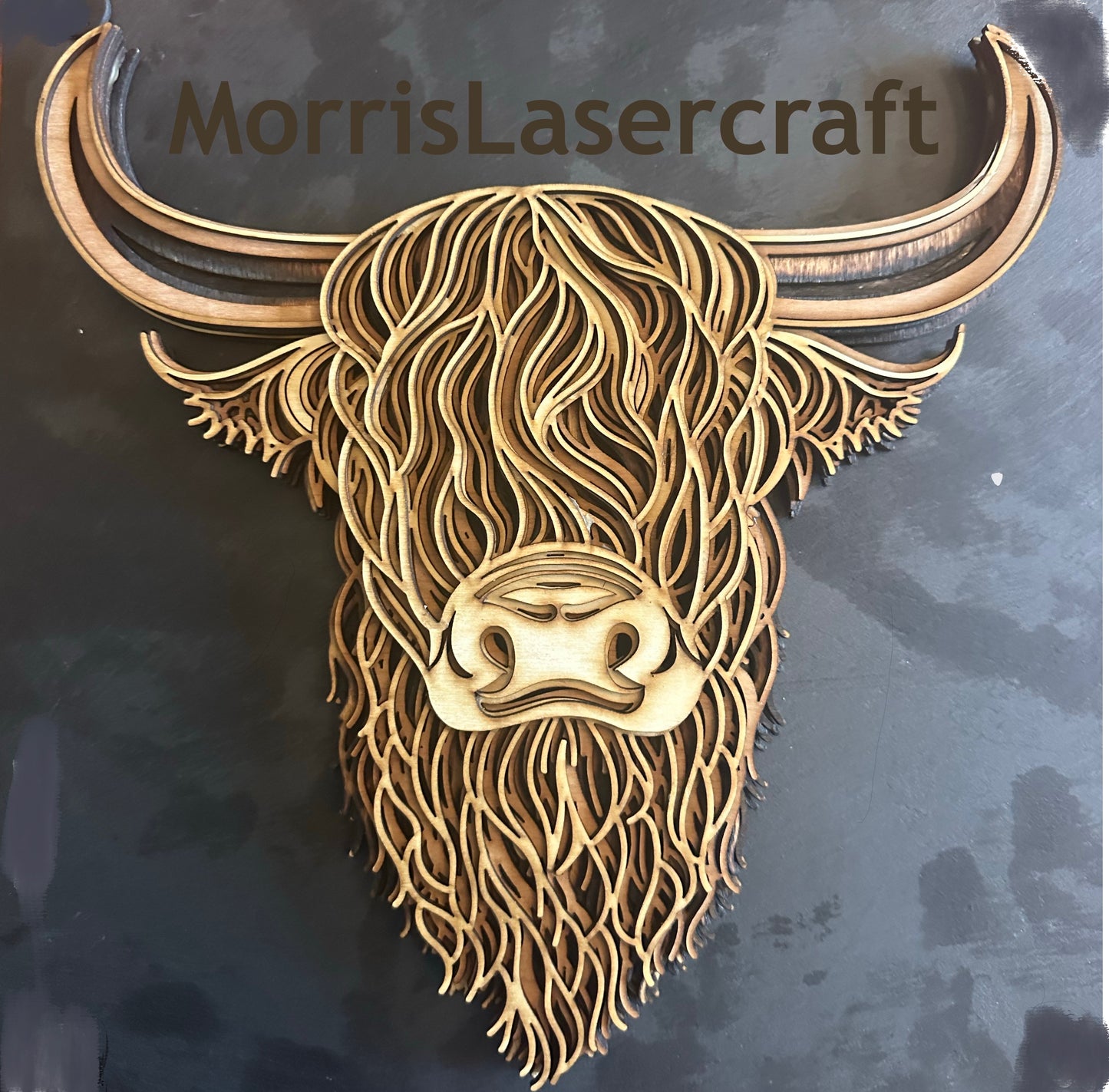 Laser Highland Cow