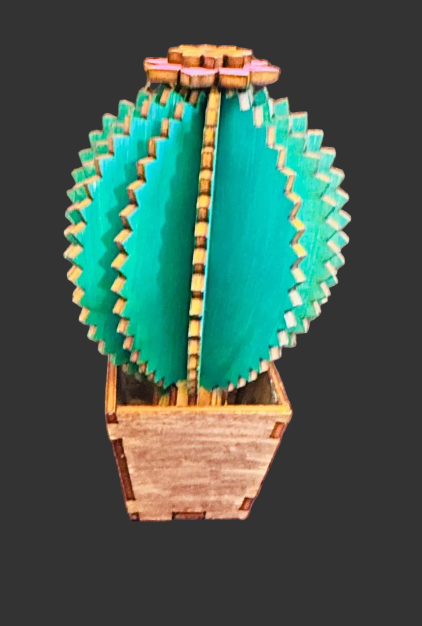 Cacti