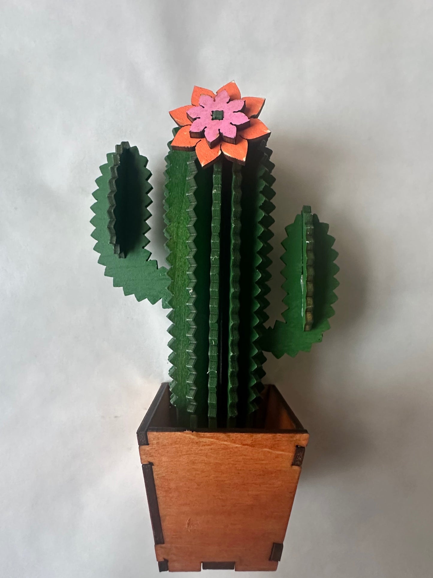 Cacti